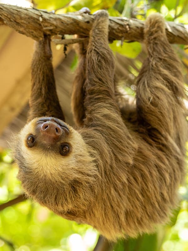 Trip card background image