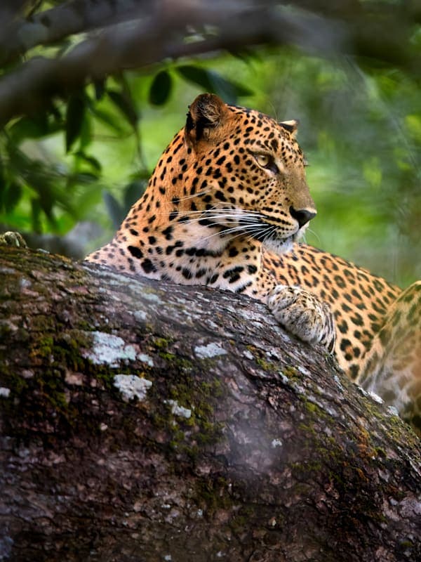 Trip card background image