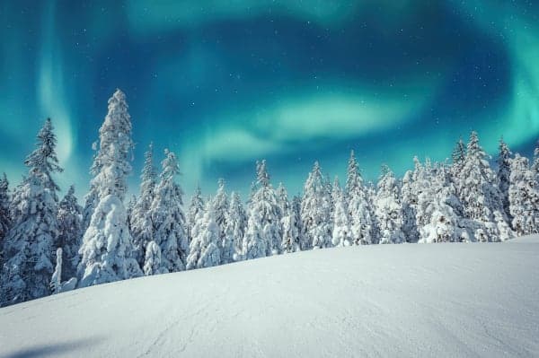 Scandic Nights: Aurora Lights & Arctic Rides