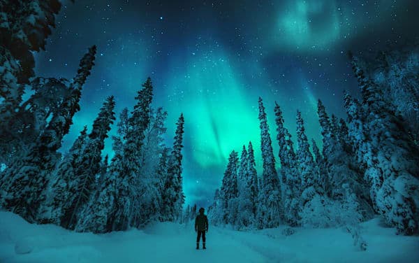 Lappland Roadtrip: Snowy Lights & Polar Nights