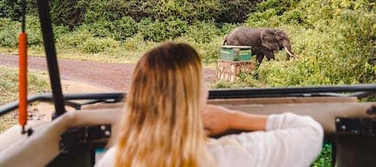 Tansania & Sansibar: Glamping unter den Big Five