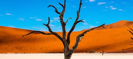 All Around Africa: Desert Dreams & Safari Wonders