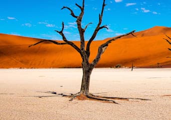 All Around Africa: Desert Dreams & Safari Wonders