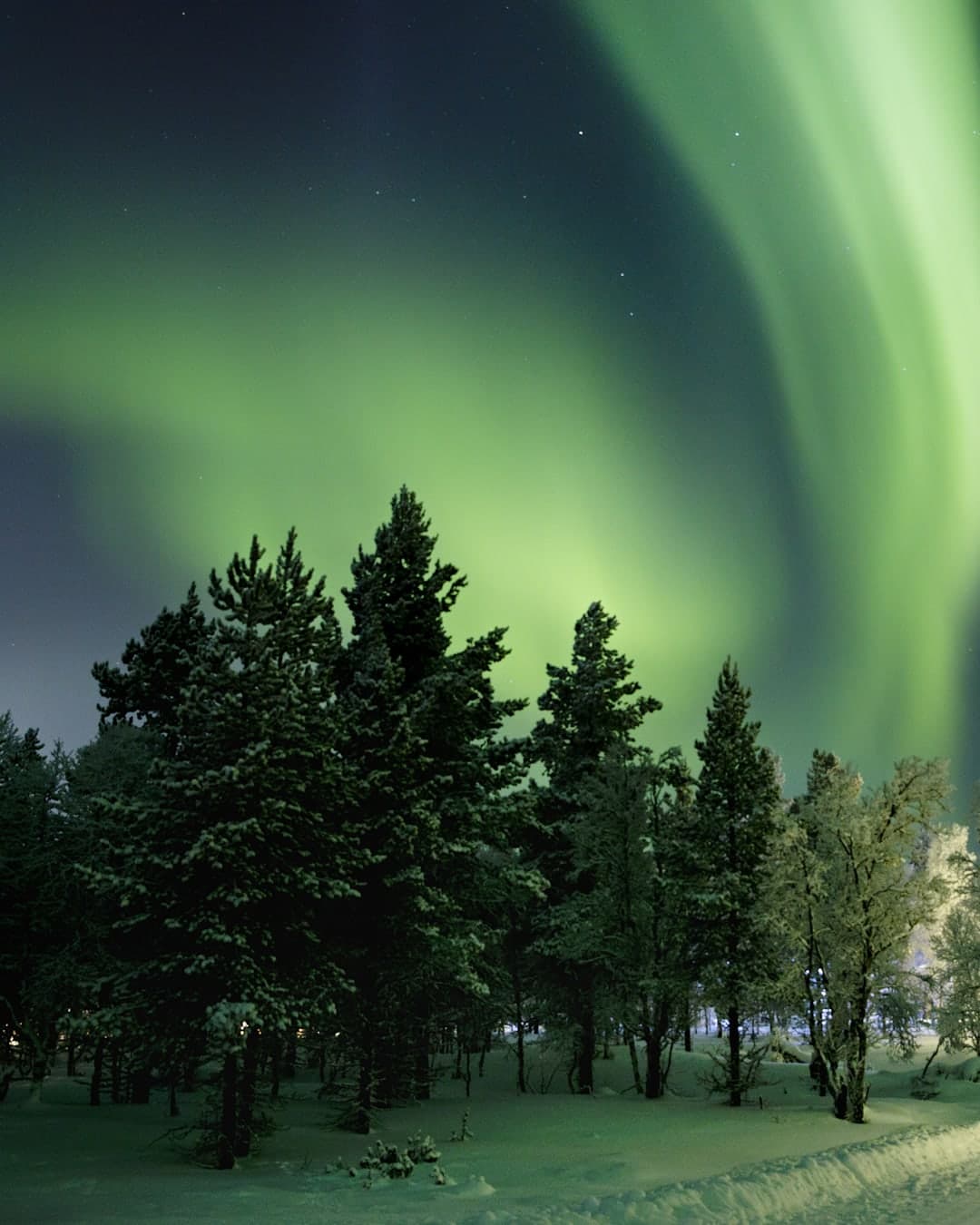 Helsinki, Lapland en noorderlicht