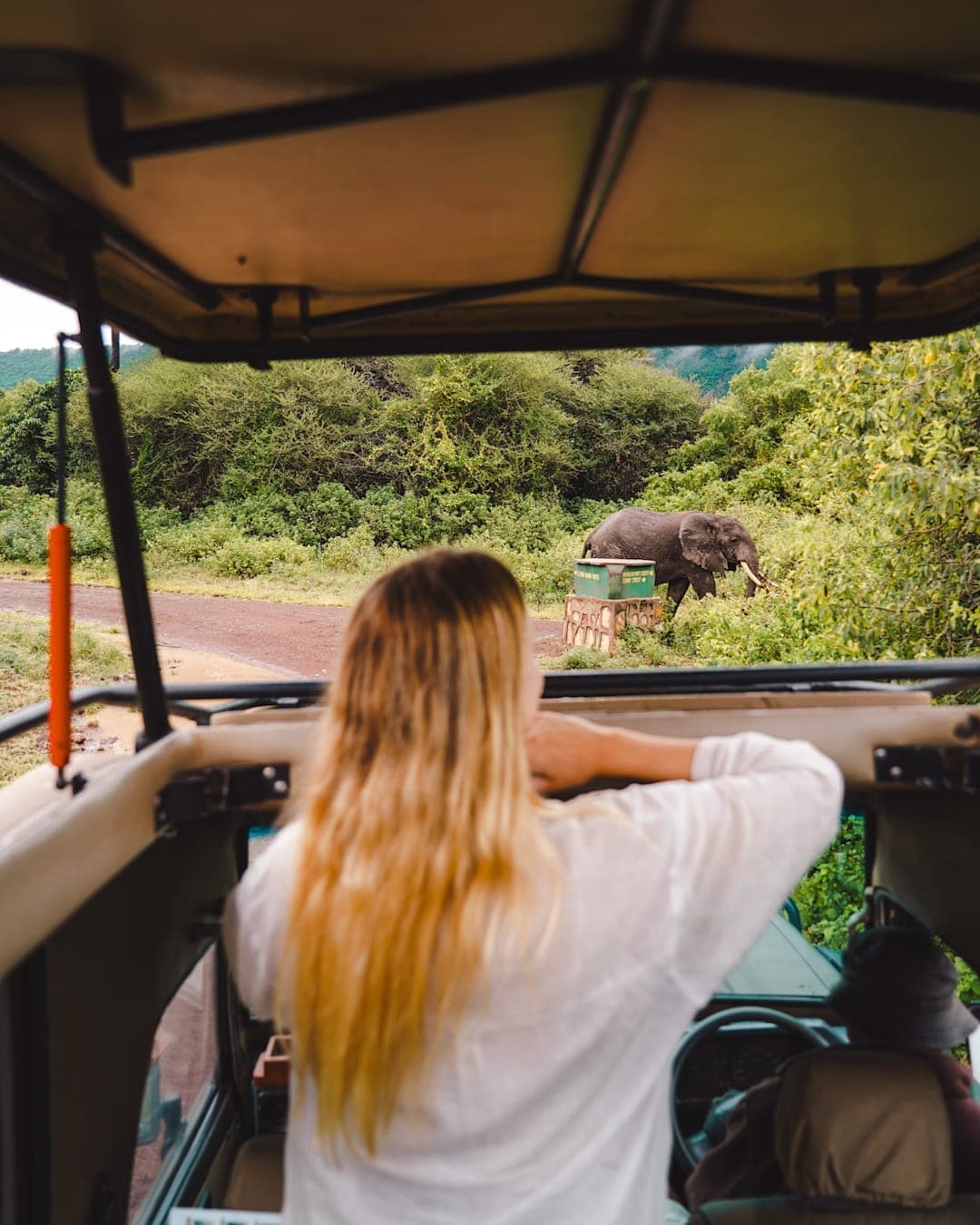 Safari, Zanzibar & Kilimanjaro
