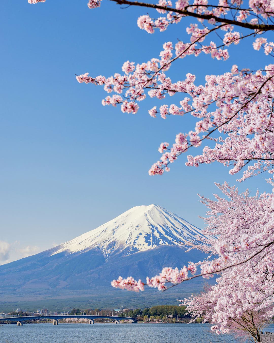 Van Tokio tot Kyoto & Mount Fuji
