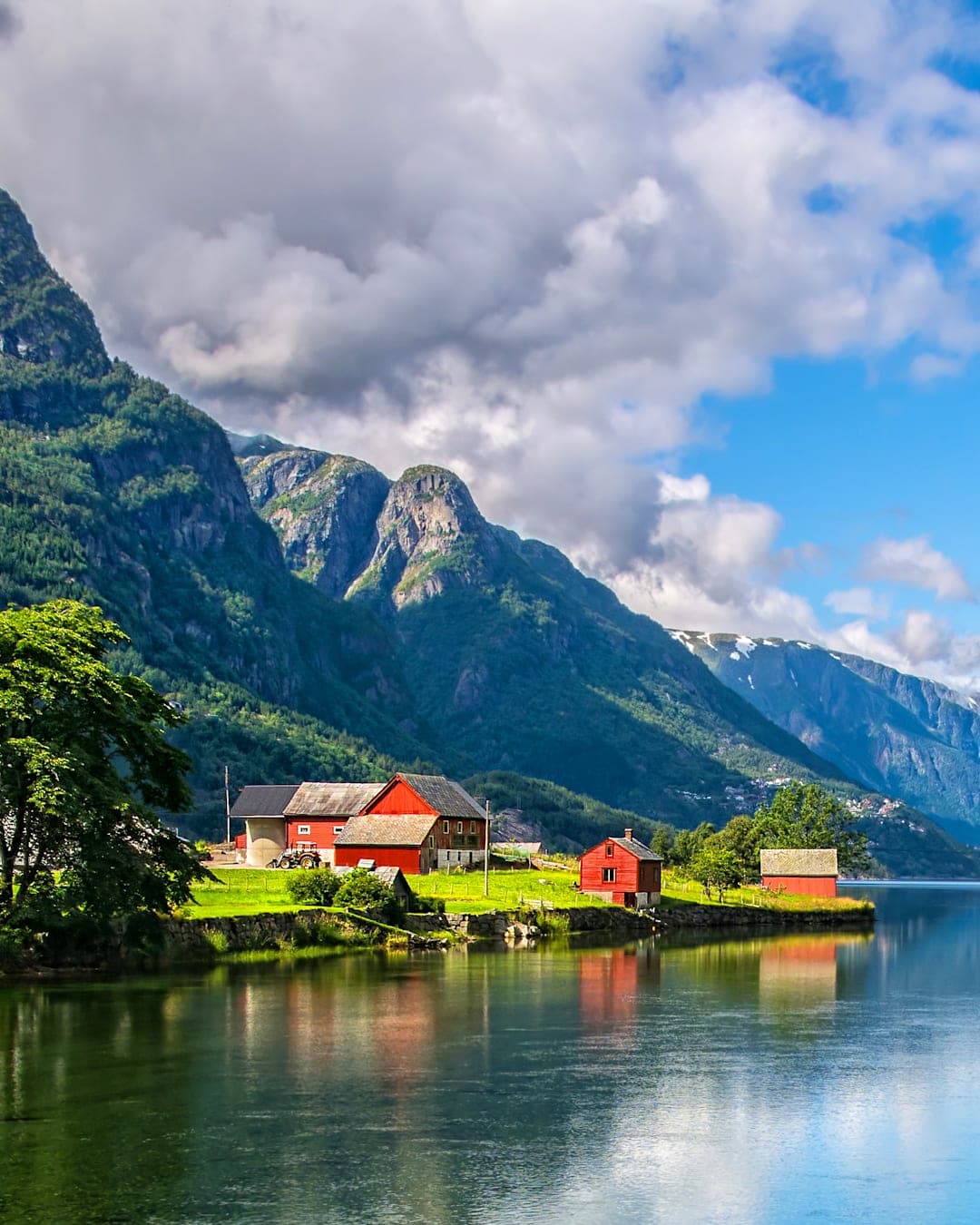 Fjorden, noorderlicht & walvissen