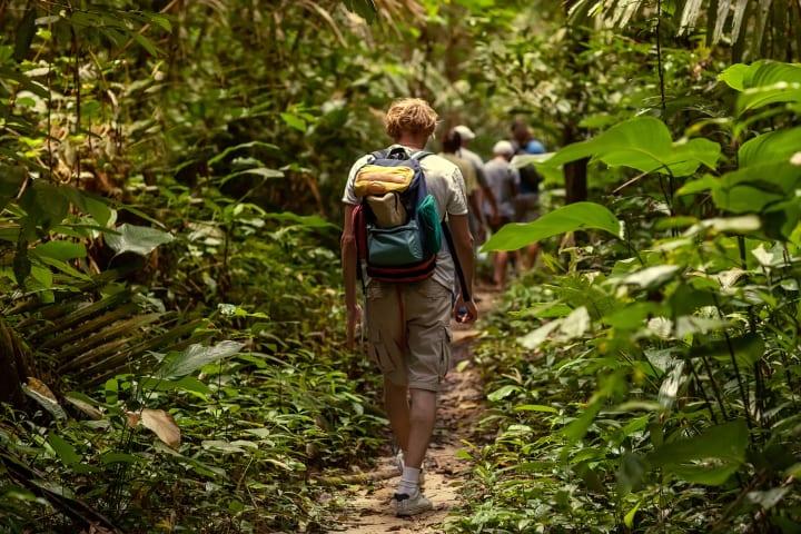 Jungle Trekking im Nationalpark thumbnail