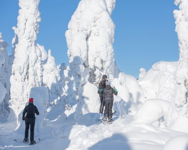 Skishoeing-Wanderung zur Harakkasaari Insel thumbnail