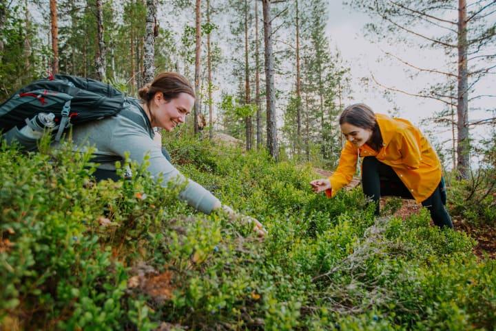 Kochabenteuer im finnischen Wald thumbnail
