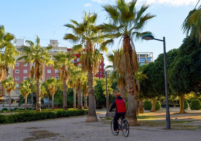 Bike Tour durch Valencia thumbnail