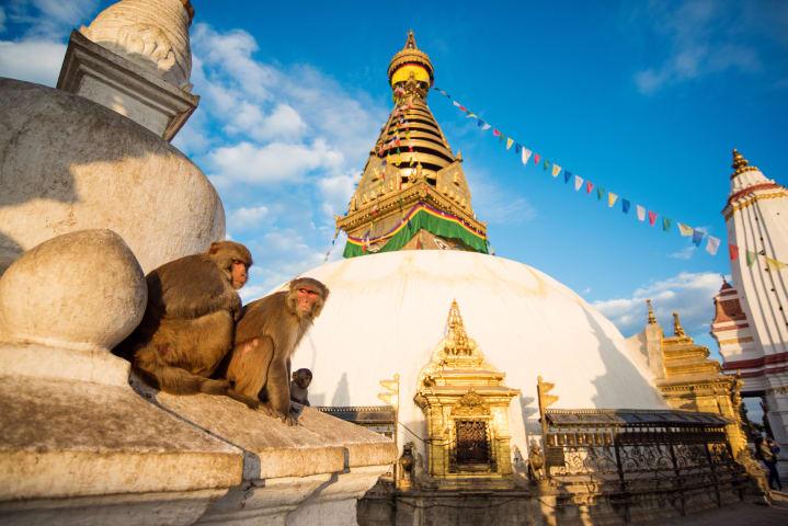 Ganztägige Tour durch Kathmandu thumbnail