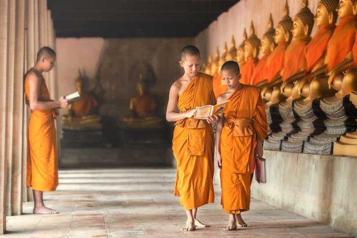 Morgenzeremonie mit tibetischen Mönchen & Fahrt nach Telkot in deiner journaway Gruppe thumbnail