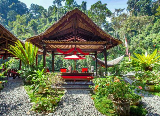 Eco-Lodge Bukit Lawang Cottages thumbnail