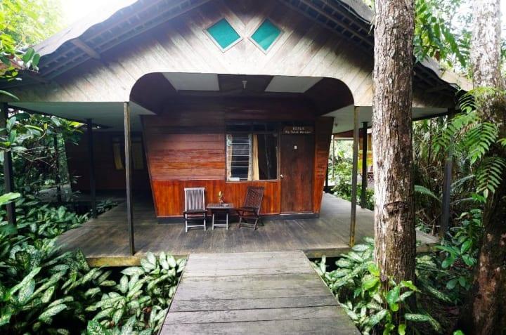 Rimba Orangutan Eco Lodge thumbnail