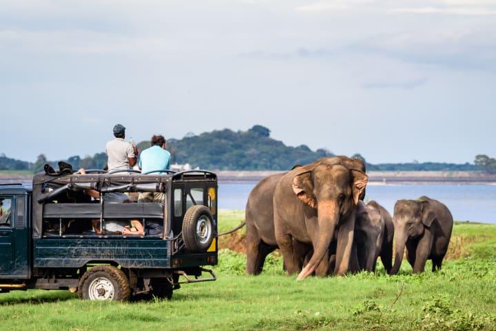  Jeep Safari im Yala Nationalpark thumbnail