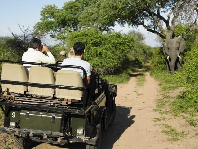 Zweitägige Safari durch Südafrikas Tierwelt in Botlierskop thumbnail