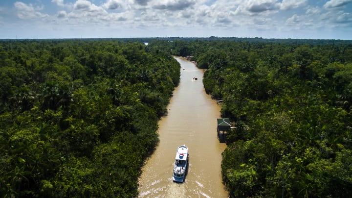 Motor-Kanu-Tour über den Amazonas & nächtliches Wildlife Spotting thumbnail