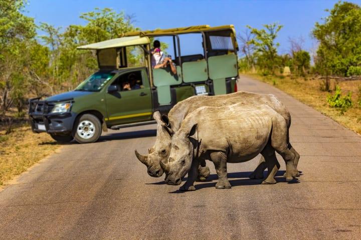 Ganztägige Safari durch den Krüger-Nationalpark ab Hoedspruit thumbnail