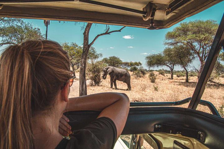 Ganztägige Safari durch den Nyerere Nationalpark thumbnail