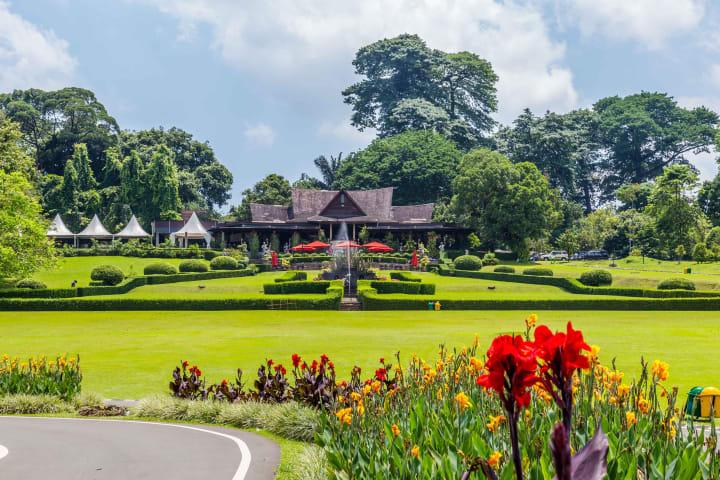 Ganztägige Tour zum Botanischen Garten Bogor, dem Nangka-Wasserfall & den Reisfeldern von Mulyaharja thumbnail