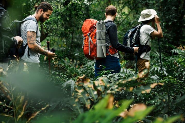 Trekking durch den Regenwald um Malasigi thumbnail