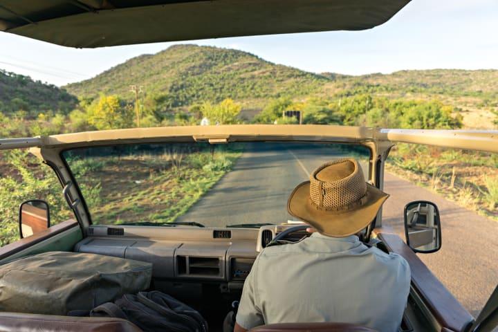 Ganztägige Safari durch den Krüger-Nationalpark ab Hazyview thumbnail