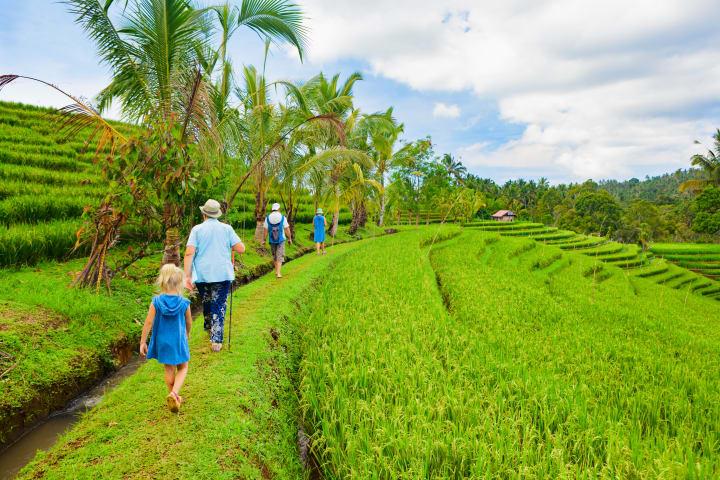 Wandeling over junglepaden & rijstvelden naar een Balinees dorp thumbnail