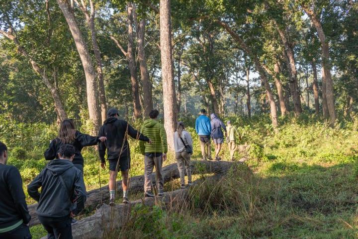 Wanderung durch den Sauraha Wald thumbnail