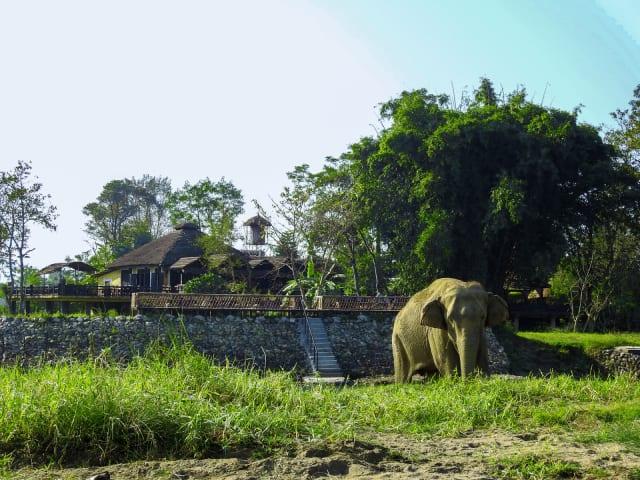 Sapana Village Lodge Chitwan thumbnail