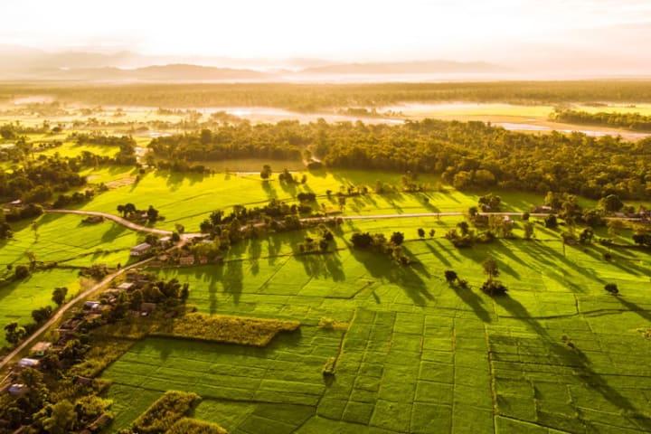 Homestay in Bardia thumbnail