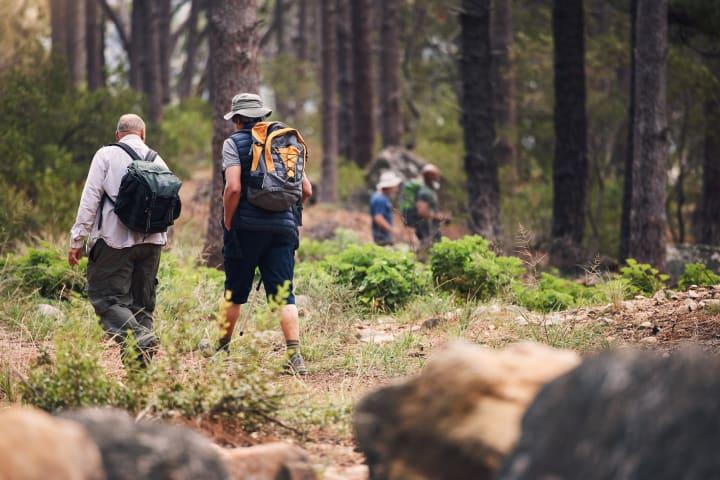 Ganztägige Wanderung durch den Hiidenportti Nationalpark thumbnail