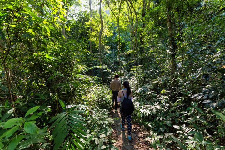 Standard: 2-tägiges Jungle Trekking zur Elefantenhöhle, Ma Da See & Tra Ang Höhle thumbnail