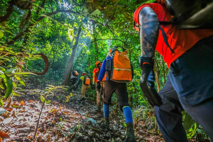 Upgrade: 2-tägiges Jungle Trekking zur Hang Over & Hang Pygmy Höhle thumbnail