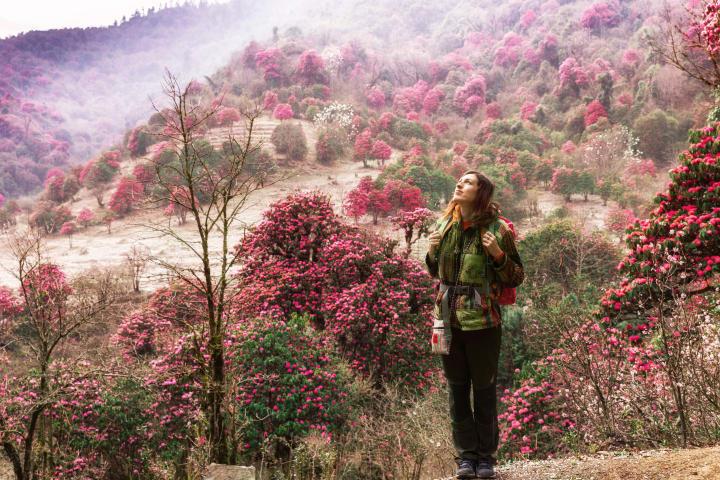 Trekking von Tadapani nach Ghandruk thumbnail