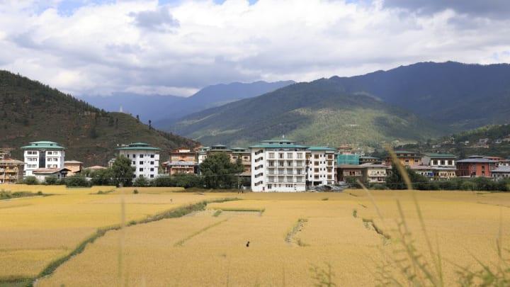 Hotel Golden Paddy Field thumbnail