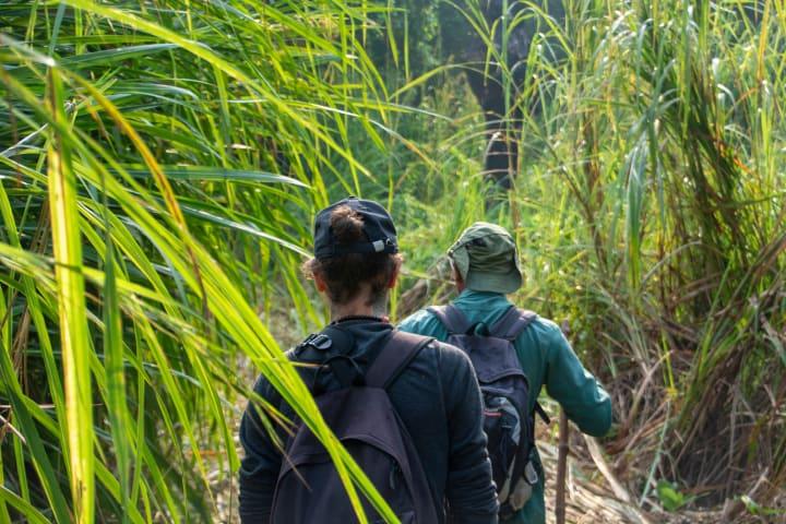 Fahrt zum Chitwan Nationalpark thumbnail