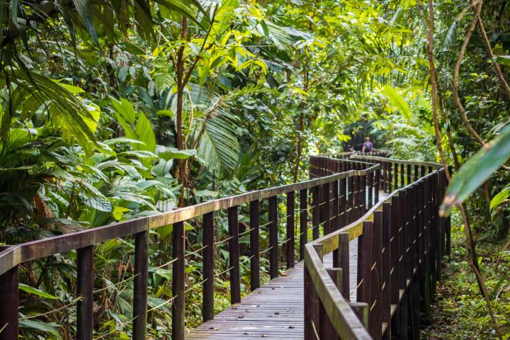 Cahuita Nationalpark Tour & Water Experience in Puerto Viejo thumbnail