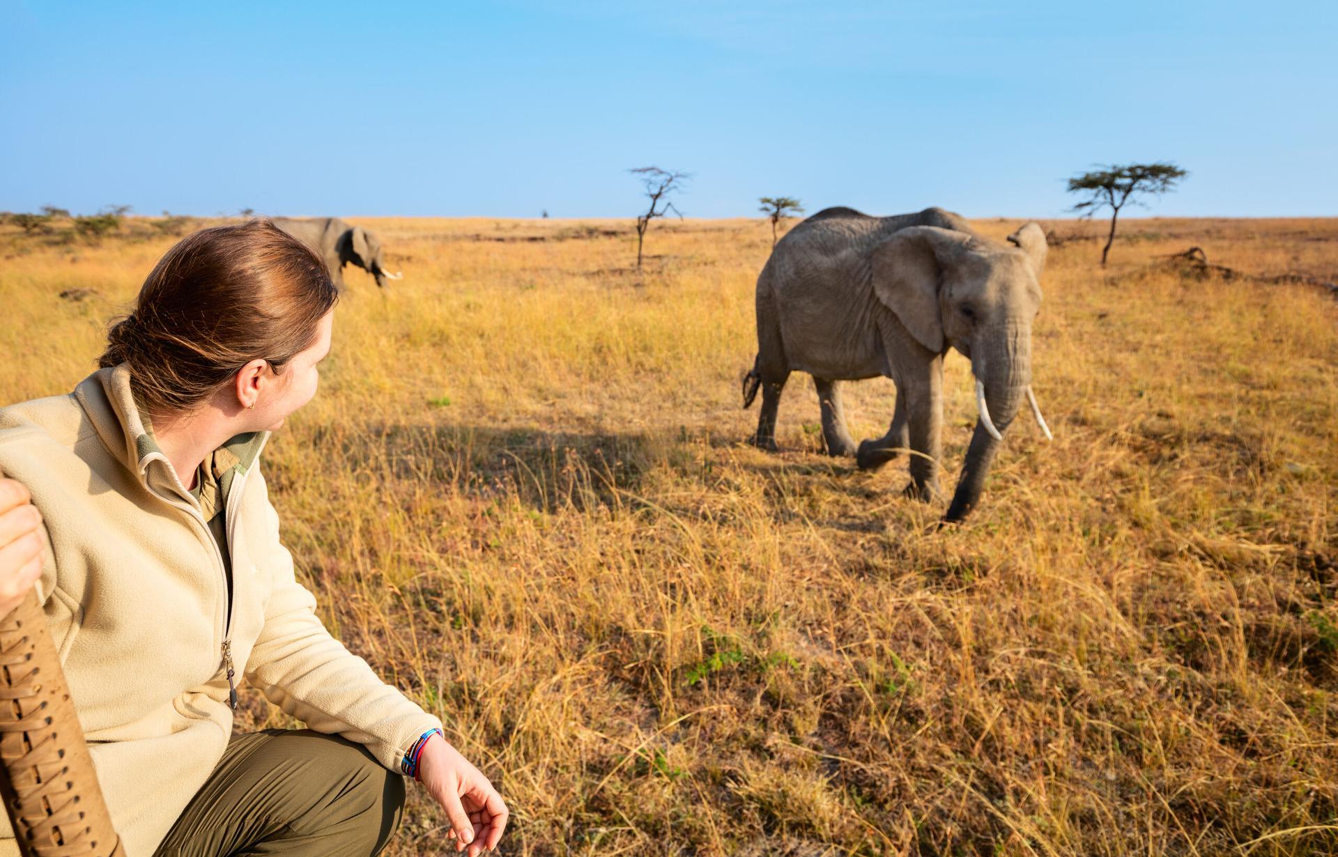 Walking Safari: Krüger hautnah