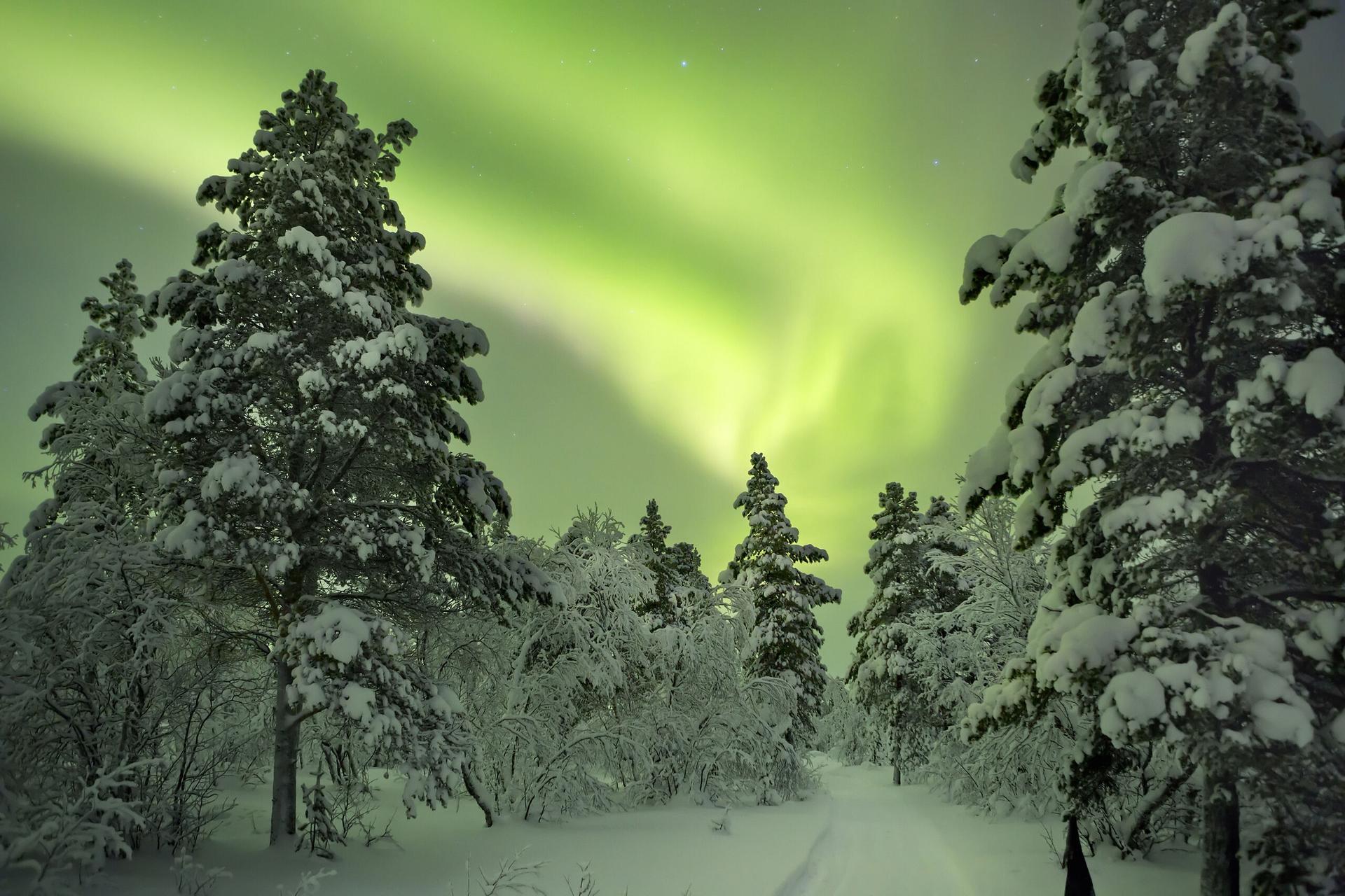 Lady Aurora: Leuchtendes Polarlicht