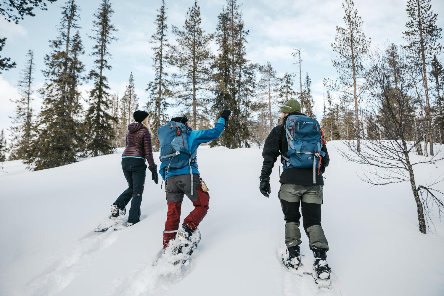 Schneeschuhe: Auf leisen Sohlen