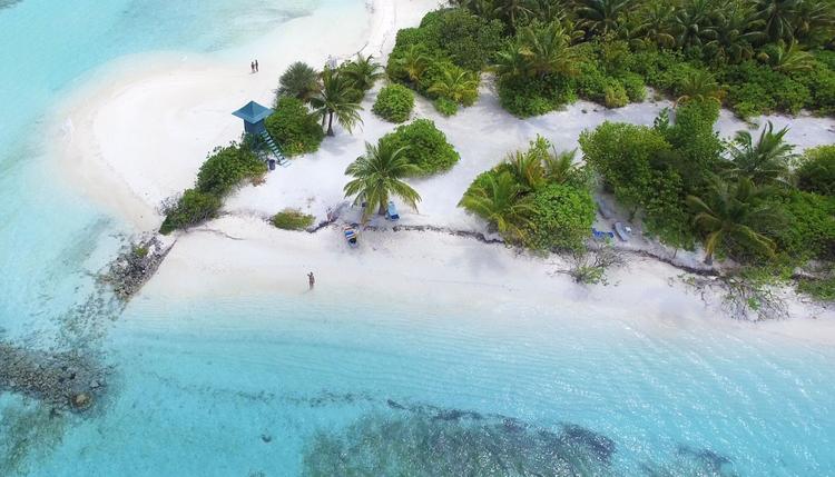 Malediven: Tropisches Paradies! 
