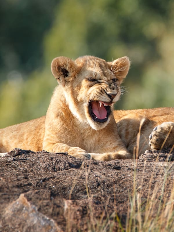 South Africa road trip