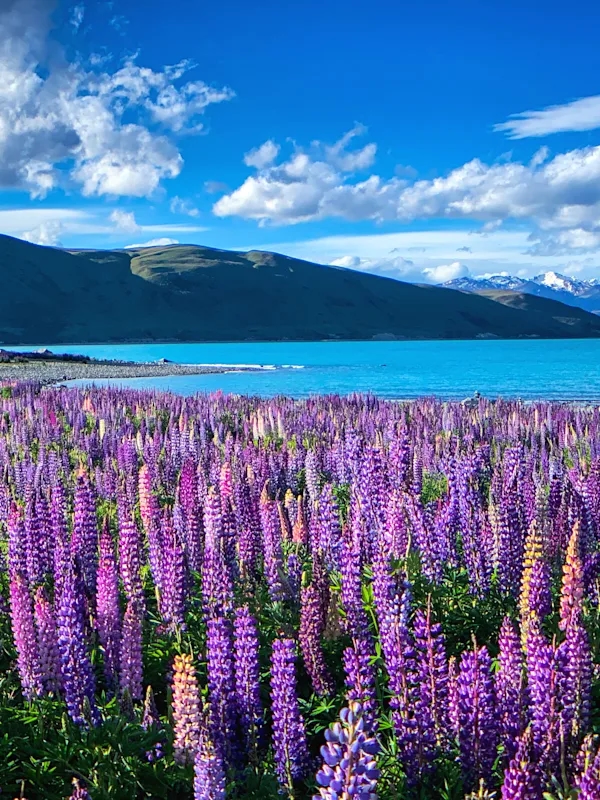 Australia and New Zealand