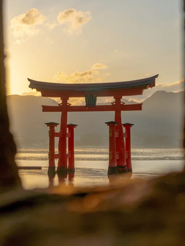 Trip card background image