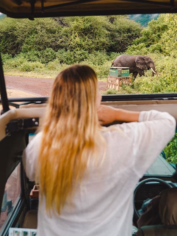 Trip card background image