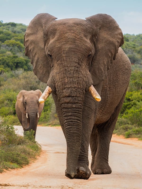 Tanzania and Zanzibar