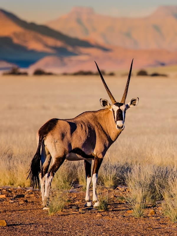 Südafrika & Namibia