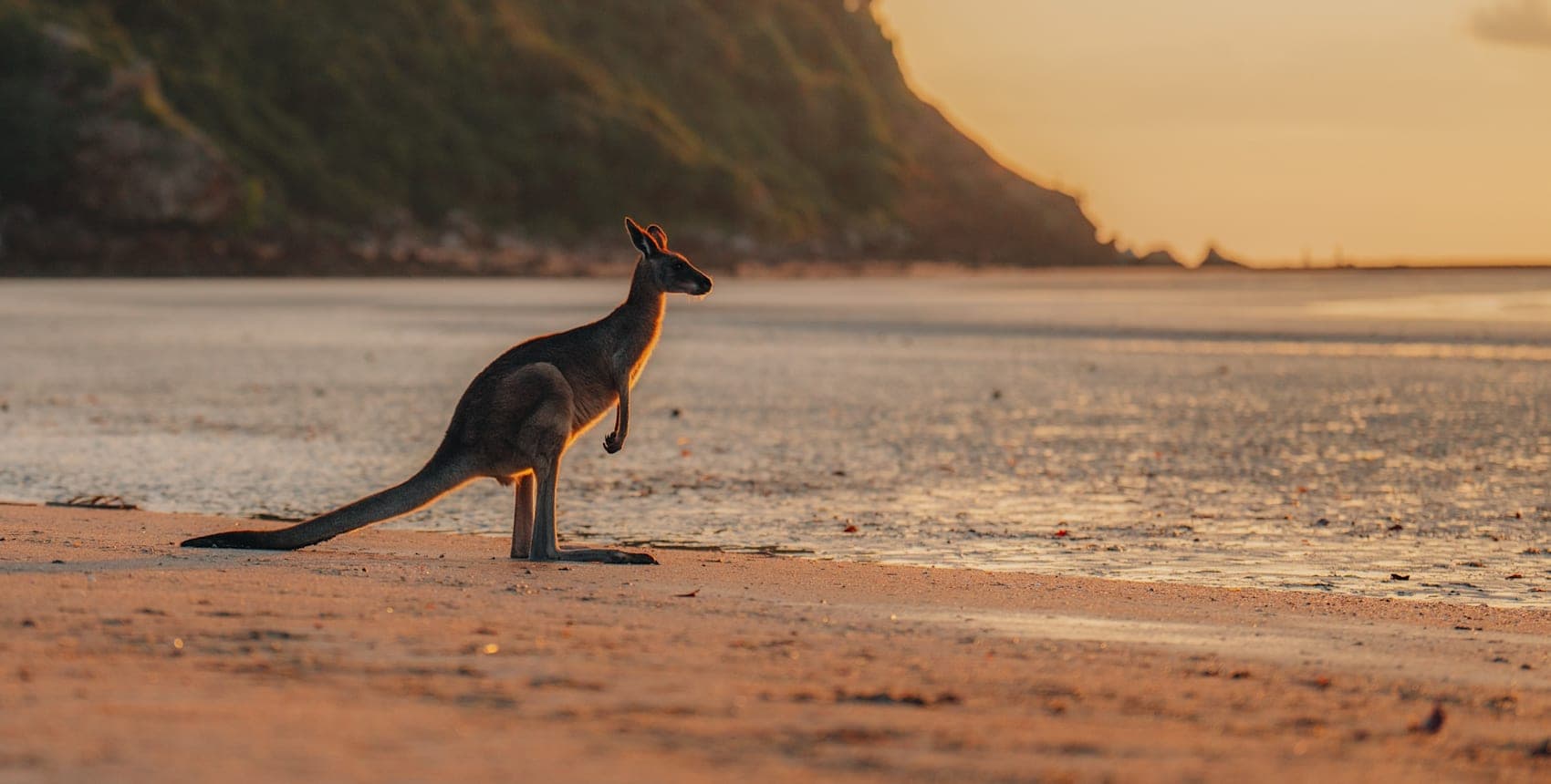 Australia's East Coast