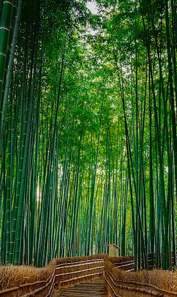 Explore Japan Cityhopping